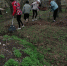 Вы просматриваете изображение с именем 001.jpg - Меленковский район