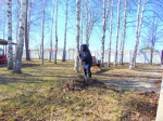 СУББОТНИК 2023