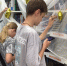 Квест «Эхо книжных миров» - ЦБС Меленковского района